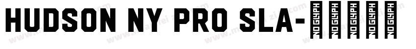 Hudson NY Pro Sla字体转换